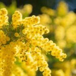 mentalfit新大阪　卒業された方の声　Vol.7