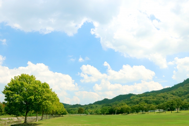 浜公園の散策と、自然素材でのリース作りをしました