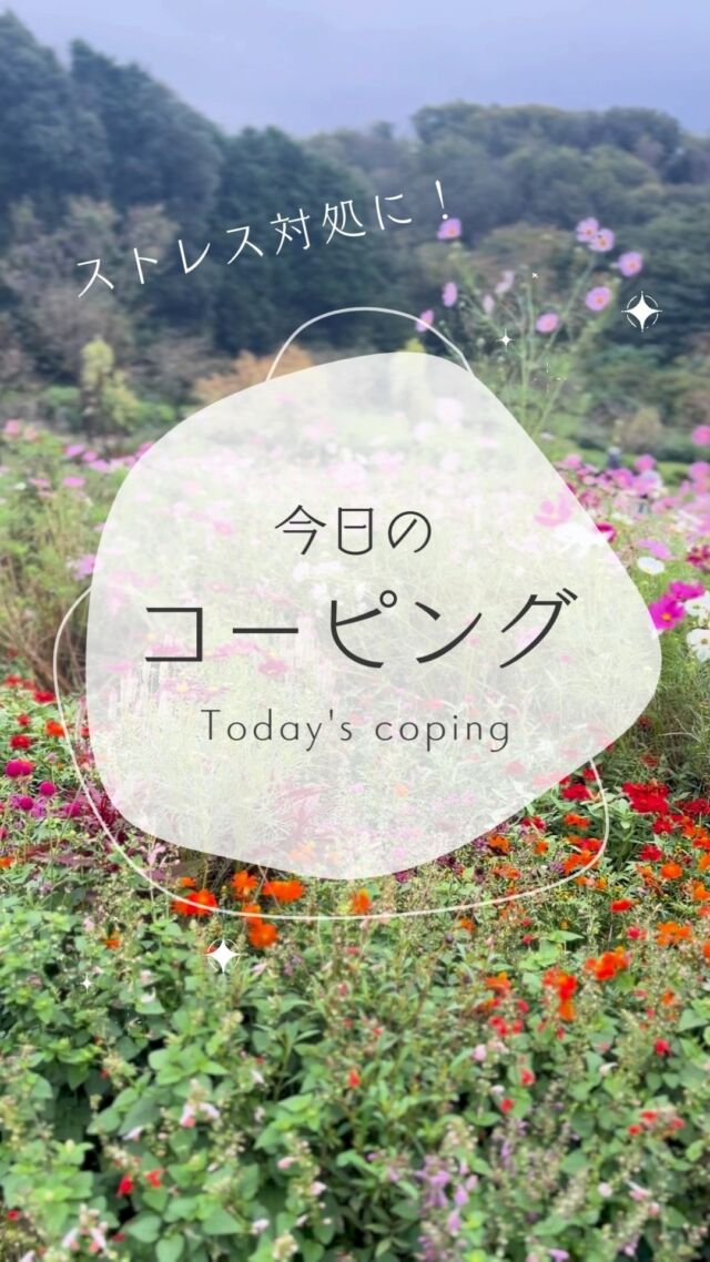 @mentalfit2019　←他の投稿はこちらから
【mentalfit　今日のコーピングはドライブ🍀】  ドライブでお気に入りの場所や
普段行かない場所へいってリフレッシュ！  コーピングとはストレスも元に対し、上手く
対処することを指します。  コーピングは「質」より「量」🌈
コーピングの引き出しを増やして、
様々なストレスに対処できますように🍀  ------------------------------------------------------------------  このアカウントでは、うつ病や適応障害などのメンタル不調
の方や、企業様へ向け、職場復帰、再発予防のコツや
mentalfitの日常を
発信しております。  いいね・フォローよろしくお願いします。
他の投稿▷@mentalfit2019  -------------------------------------------------------------------  🟡 無料相談も受付中です
職場復帰や再就職のご相談、利用できる支援機関のご紹介、mentalfitの活用方法、プログラム内容についてなど、どんなことでもお気軽にご相談ください。  ＼ こんなお悩み、ありませんか？／
・復職のタイミングはいつがいい？
・職場とのやりとり、家族がどこまで関わるべき？
・そもそも回復しているのか、見極めが難しい…  小さな疑問や不安でも大丈夫です。
あなたとご家族のペースに寄り添って、私たちがサポートします🌱  📌mentalfit岸和田
〒596-0055　大阪府岸和田市五軒屋町2-1 2F
☎050-5840-6888  📌mentalfitあまがさき
〒660-0861　兵庫県尼崎市御園町27-3　さきタワーサンクタス尼崎駅前 1F
☎06-6412-1161  📌mentalfit新大阪
〒532-0011　大阪市淀川区西中島1-9-13 クレアシオン新大阪ビル6F
☎ 06-6732-9982  #うつ病 #適応障害 #rework #メンタル #メンタルヘルス #コーピング #不安 #ストレス #復職準備 #再就職準備 #休職 #メンタルトレーニング #大阪府 #大阪市 #新大阪 #南大阪 #泉州 #岸和田市 #兵庫県 #尼崎市 #伊丹市 #神戸 #今日のコーピング #mentalfit岸和田